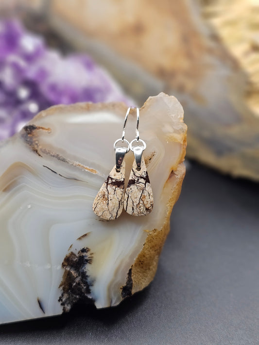 Picture Jasper Earrings