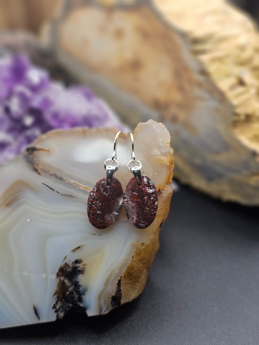 Crazy Lace Agate Earrings
