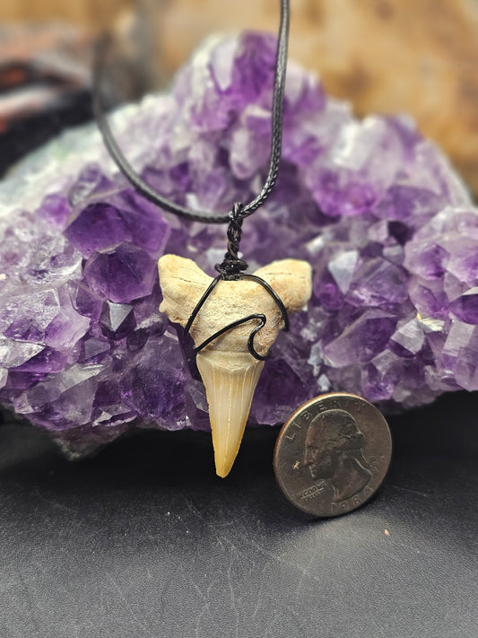 Shark Tooth Wave Design Necklace