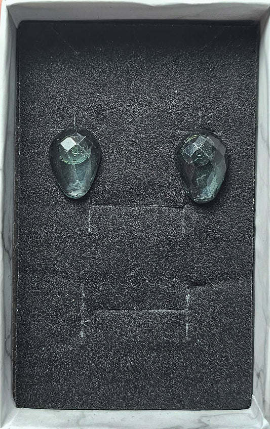 Stainless Steel Post Earrings