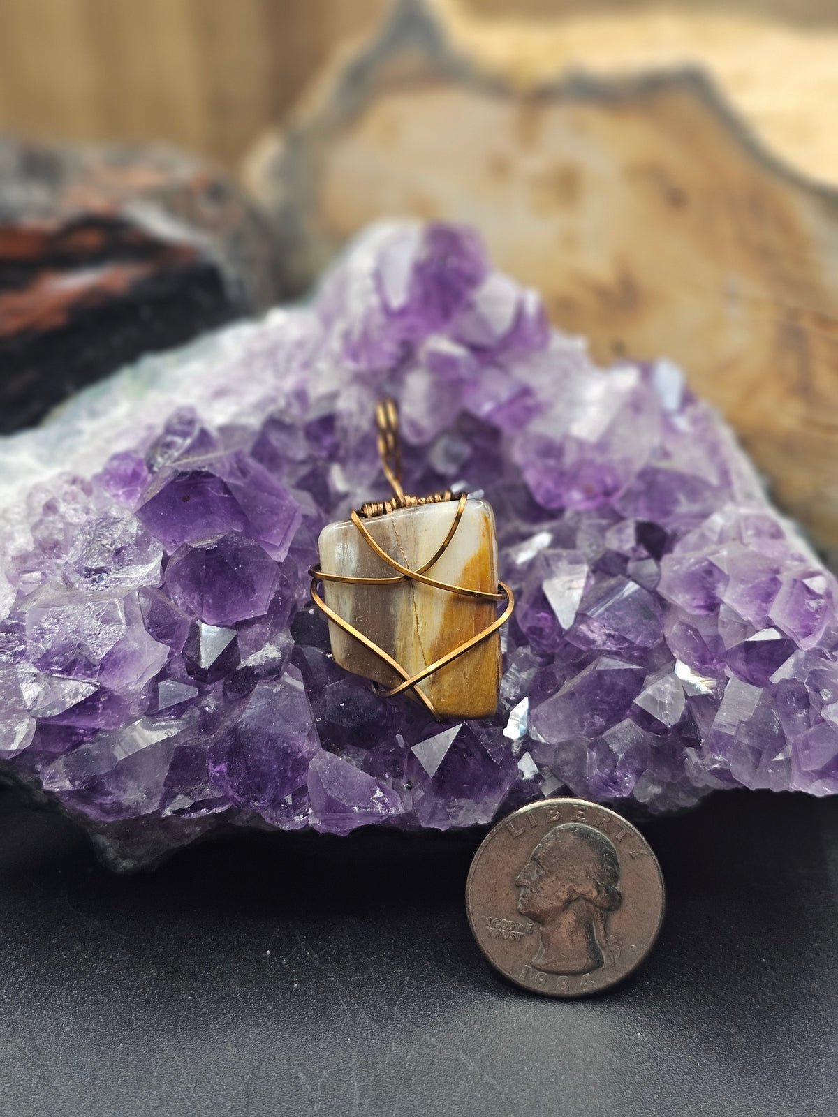 Petrified Wood Necklace