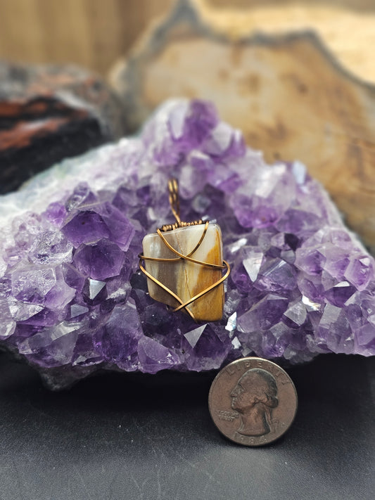 Petrified Wood Necklace