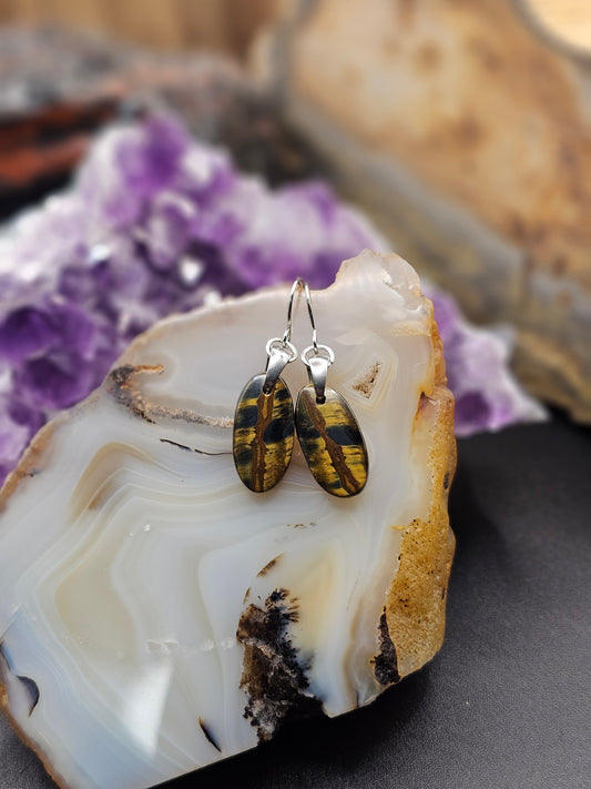Tigers Eye Earrings