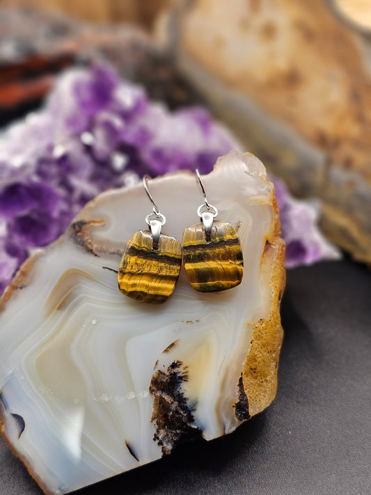 Tigers Eye Earrings